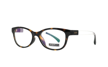 tortoise brown frame