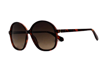 Polaroid Brown Square Women's Sunglasses