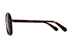 Polaroid Brown Square Women's Sunglasses - Wickramarachchi Opticians