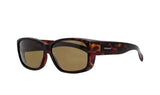 Polaroid Brown Square Women's Sunglasses