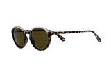 Polaroid Brown & Black Round Women's Sunglasses