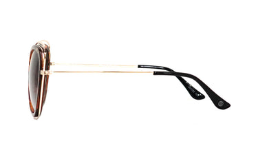 SMARTY Brown & Gold Curve Womens Sunglasses