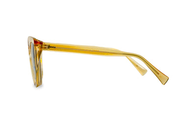 INVU ORANGE TRANSPARENT ROUND PLASTIC FRAME SUNGLASSES