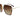 INVU Brown & Gold metal Box Women's Sunglasses 