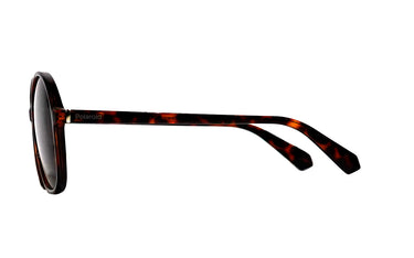 Polaroid Brown Square Women's Sunglasses