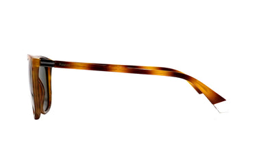 Polaroid Brown Square Mens's Sunglasses